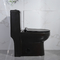 Οι σύγχρονες τουαλέτες λουτρών διπλός-ξεπλένουν την επιμηκυμένη τουαλέτα 1-κομματιού με το μαλακός-κλείσιμο του καθίσματος