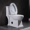 Αμερικανική τυποποιημένη επιμηκυμένη η Ada τουαλέτα αναπηρίας συντήρηση νερού 1 κομματιού